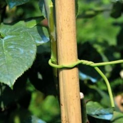 Binddraad Met Rubbercoating - Soft Tie Ø 5 Mm