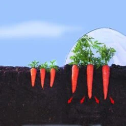 Kweekfolie / Tunnelfolie - 2 × 10 M -Tuinadvies Winkel 1534088192 2 600