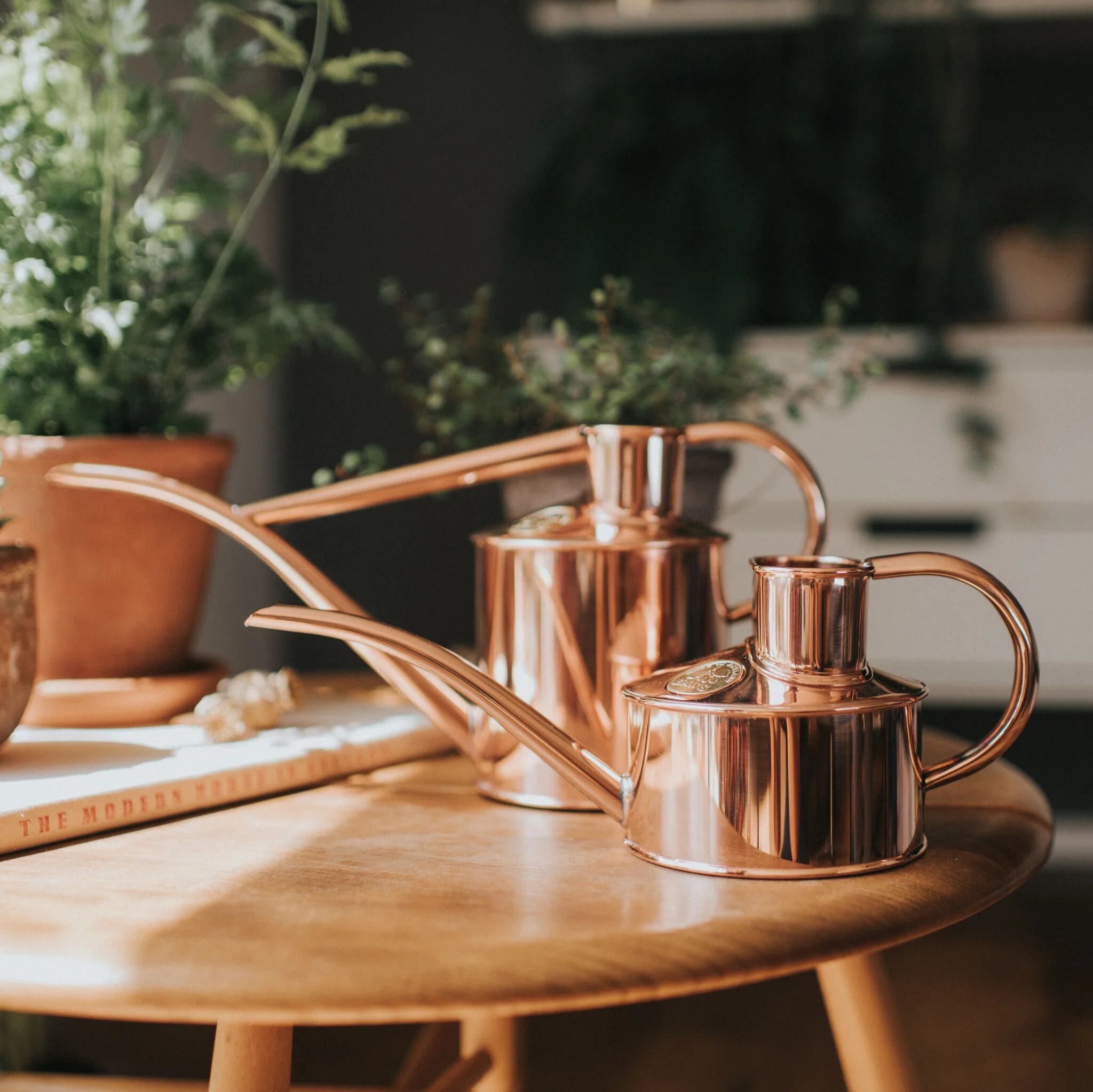 Tuinadvies Winkel 24 Tuinadvies Winkel -Tuinadvies Winkel 160 1 Life4