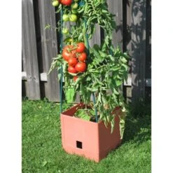 Plantentoren Maxitom Met Waterreservoir - Terracotta 8 Plantentoren Maxitom Met Waterreservoir - Terracotta -Tuinadvies Winkel 1677510667 3 600