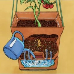 Plantentoren Maxitom Met Waterreservoir - Terracotta 9 Plantentoren Maxitom Met Waterreservoir - Terracotta -Tuinadvies Winkel 1677510668 5 600