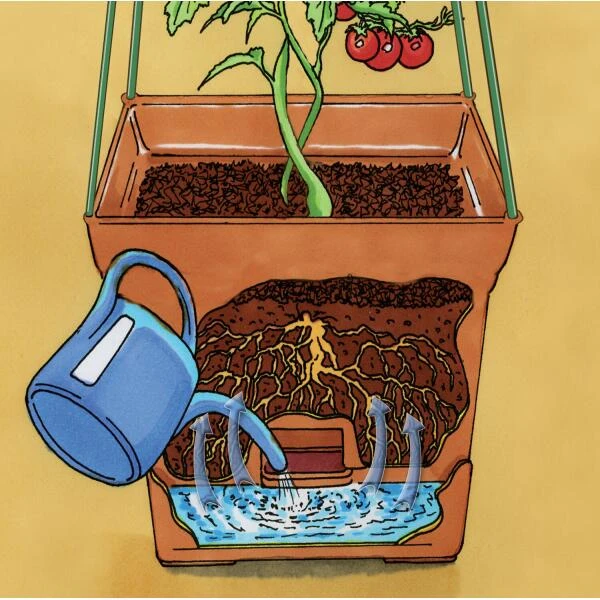 Plantentoren Maxitom Met Waterreservoir - Terracotta 4 Plantentoren Maxitom Met Waterreservoir - Terracotta - Afbeelding 4