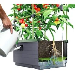 Kweekbak City Jungle Basic Met Klimframe 9 Kweekbak City Jungle Basic Met Klimframe -Tuinadvies Winkel 1677572003 2 600