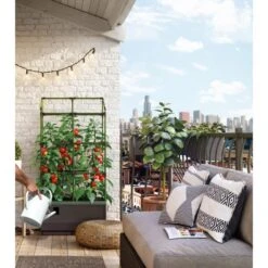 Kweekbak City Jungle Basic Met Klimframe 10 Kweekbak City Jungle Basic Met Klimframe -Tuinadvies Winkel 1677572004 4 600