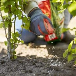 Compo Turbo Hagen - 4 Kg -Tuinadvies Winkel 1709217573 3 600