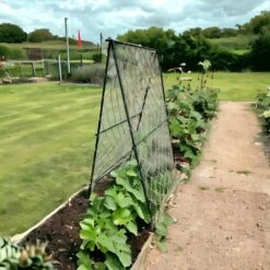 Klimframe Voor Bonen - 100 X 180 Cm -Tuinadvies Winkel 1715685228 2 600