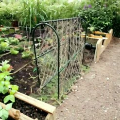 Hoepel Voor Erwten - 100 X 30 X 100 Cm -Tuinadvies Winkel 1715685287 3 600