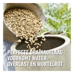 Compo Bio Granuplant Puimsteenkorrels - 25 L 7 Compo Bio Granuplant Puimsteenkorrels - 25 L -Tuinadvies Winkel 1740472762 3 600