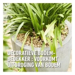 Compo Bio Granuplant Puimsteenkorrels - 25 L 9 Compo Bio Granuplant Puimsteenkorrels - 25 L -Tuinadvies Winkel 1740472762 5 600