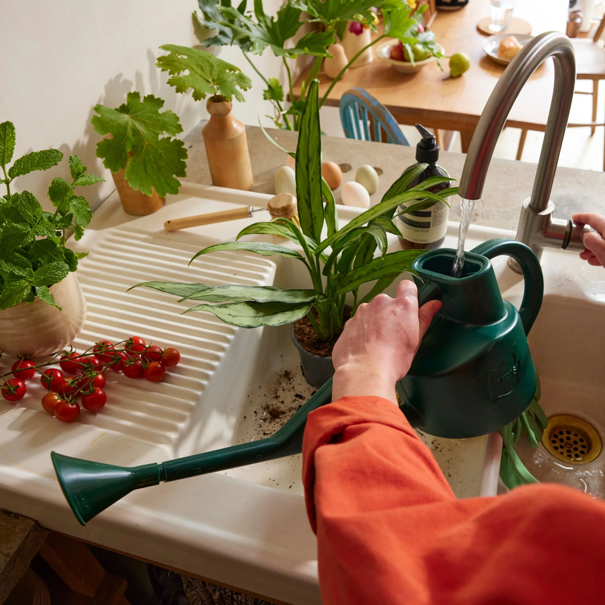 Tuinadvies Winkel 23 Tuinadvies Winkel -Tuinadvies Winkel WEB 450 GRN Life1 3eae3e85 e8ac 4887 aba0 c94bfd522871