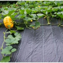 Gronddoek - Onkruidwerend 2 M × 5 M -Tuinadvies Winkel antionkruiddoek 2 x 5 m 1511788904 1 600