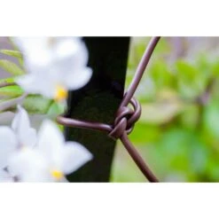 Bindbuis Elastisch Ø 2,5 Mm - Bruin 40 M 6 Bindbuis Elastisch Ø 2,5 Mm - Bruin 40 M -Tuinadvies Winkel bindbuis bruin 135 g 1484066131 2 600