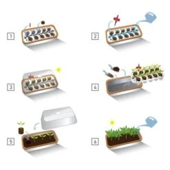 Binnenkas BoQube Plus Romberg - 41 × 17 × 23 Cm 10 Binnenkas BoQube Plus Romberg - 41 × 17 × 23 Cm -Tuinadvies Winkel binnenkas boqube 41 x 17 x 23 cm 1656509792 5 600