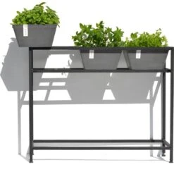 ECOPOTS Berlin Kruidentafel - Grijs 100 X 80 X 36 Cm -Tuinadvies Winkel ecopots berlin kruidentafel grijs 1600852112 2 600