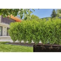 Gardena Micro-Drip-Bewatering Heggen/struiken Set - 50 M -Tuinadvies Winkel gardena mdb druppelbuis set 50 m 1683727538 4 600