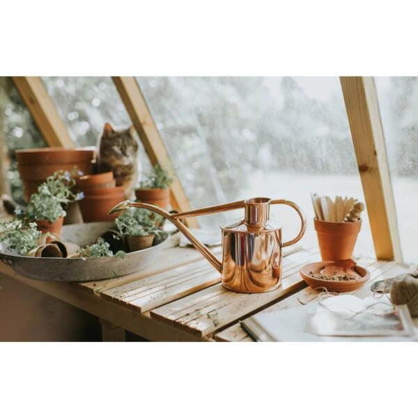 Haws Gieter 1 L - Koper 2 Haws Gieter 1 L - Koper - Afbeelding 2