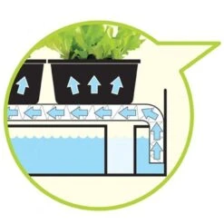 Groeilicht Met Kweekset - Zwart -Tuinadvies Winkel groeilicht met kweekset zwart 1484063021 3 600