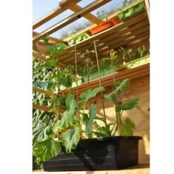 Kweekbak 40 Liter 8 Kweekbak 40 Liter -Tuinadvies Winkel grote kweekbak 40 liter 1484056513 1 600