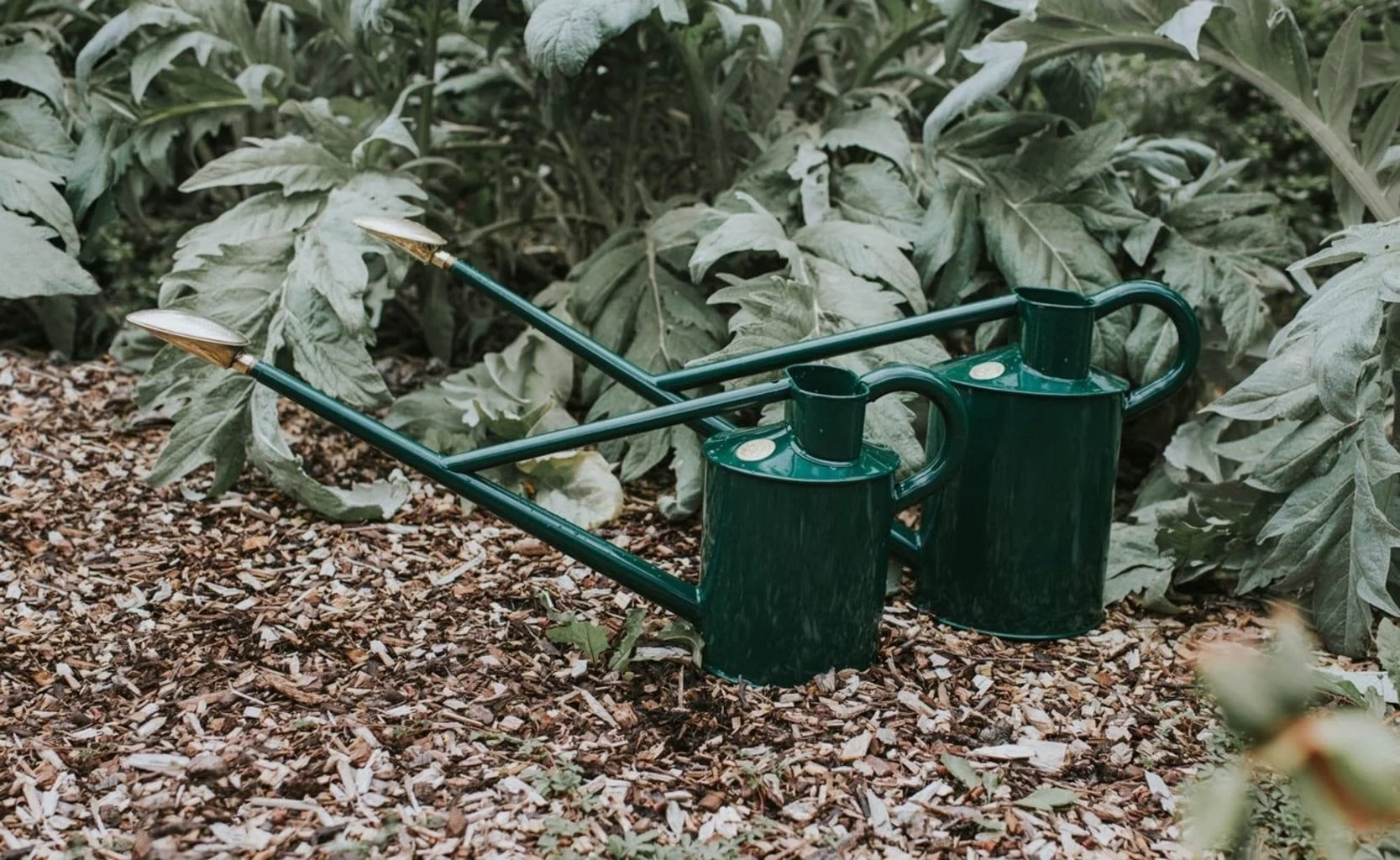 Tuinadvies Winkel 21 Tuinadvies Winkel -Tuinadvies Winkel haws warley fall gieter original groen