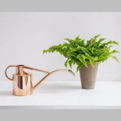 Haws Giftbox Gieter En Vernevelaar - Koper -Tuinadvies Winkel haws giftbox koper 1485175232 0 600