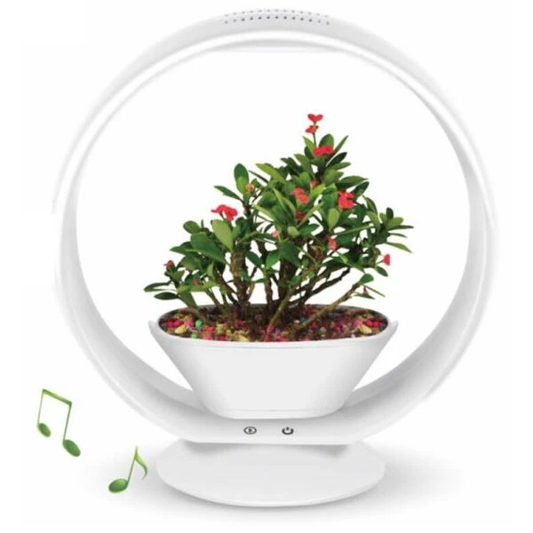 Mini Tuin Jardin Secret Met Verlichting En Bluetooth - Rond 1 Mini Tuin Jardin Secret Met Verlichting En Bluetooth - Rond