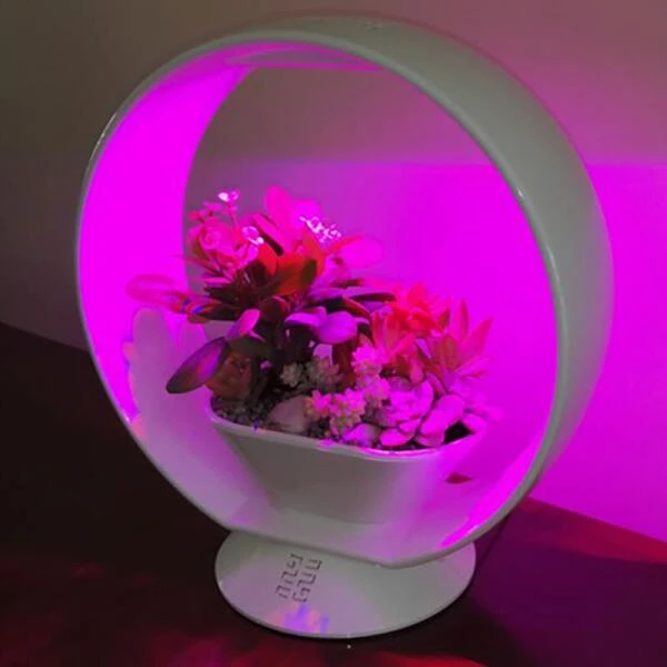 Mini Tuin Jardin Secret Met Verlichting En Bluetooth - Rond 3 Mini Tuin Jardin Secret Met Verlichting En Bluetooth - Rond - Afbeelding 3