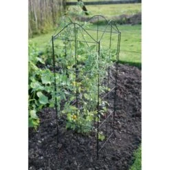 Klimplantensteun - Moduleerbare Steunpanelen -Tuinadvies Winkel klimplantensteun rekken 1549797641 3 600