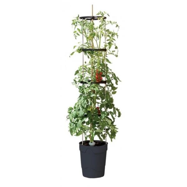Tomatentoren 150 Cm Met Bewateringssysteem - Grijs 1 Tomatentoren 150 Cm Met Bewateringssysteem - Grijs