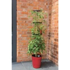 Tomatentoren Met Bewateringssysteem - 150 Cm 9 Tomatentoren Met Bewateringssysteem - 150 Cm -Tuinadvies Winkel klimplantentoren met bewateringssysteem 1519074088 1 600