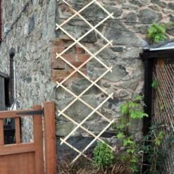 Klimplantgeleider - 60 × 200 Cm