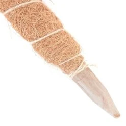 Kokos Kamerplantensteun - Plantstok Ø 45 Mm × 1,5 M 6 Kokos Kamerplantensteun - Plantstok Ø 45 Mm × 1,5 M -Tuinadvies Winkel kokos plantstok 45 mm x 15 m 1622714996 3 600