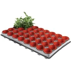 Tray Met 40 Kweekpotjes 6 Cm -Tuinadvies Winkel kweektray 40 potjes 6 cm 1599819541 1 600