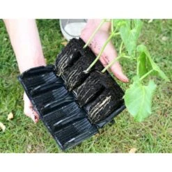Kweektray Deep Roots - 32 Cellen -Tuinadvies Winkel kweektray deep roots 32 cellen 1521400145 1 600