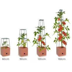 Plantentoren Maxitom Met Waterreservoir - Terracotta 11 Plantentoren Maxitom Met Waterreservoir - Terracotta -Tuinadvies Winkel plantentoren maxitom terracotta 1680165024 1 600