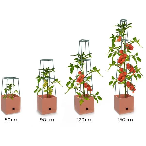 Plantentoren Maxitom Met Waterreservoir - Terracotta 6 Plantentoren Maxitom Met Waterreservoir - Terracotta - Afbeelding 6