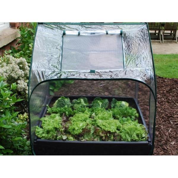 Pop-up Kas Met Folie Voor Groeibed 2 Pop-up Kas Met Folie Voor Groeibed - Afbeelding 2