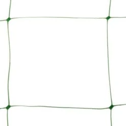 Klimgaas Erwten En Bonen 2m × 10 M -Tuinadvies Winkel steungaas klimgaas 2 x 10 meter 1484065488 1 600