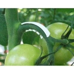 Tomaten Trossteun Wit - Set Van 100 Stuks -Tuinadvies Winkel tomatentrossteunen 1484056718 3 600