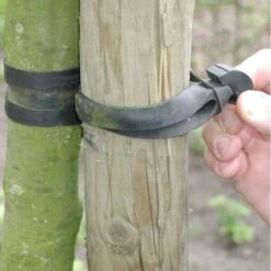 Tuinadvies Winkel 10 Tuinadvies Winkel -Tuinadvies Winkel treefix boombinder 30 cm15 mm 1547129682 1 600