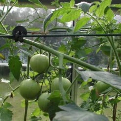 Tree-fix Boombinder 8 Cm - Set Van 50 Stuks -Tuinadvies Winkel treefix boombinder 8 cm 1547125995 3 600