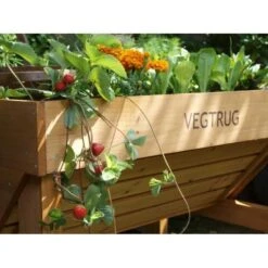 Vegtrug Verhoogde Kweektafel - 1 × 0,8 × 0,8 M 7 Vegtrug Verhoogde Kweektafel - 1 × 0,8 × 0,8 M -Tuinadvies Winkel vegtrug 1 m 1484054491 4 600