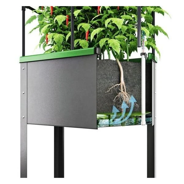 Verhoogd Kweekbak City Jungle Heidelberg Met Klimframe 3 Verhoogd Kweekbak City Jungle Heidelberg Met Klimframe - Afbeelding 3